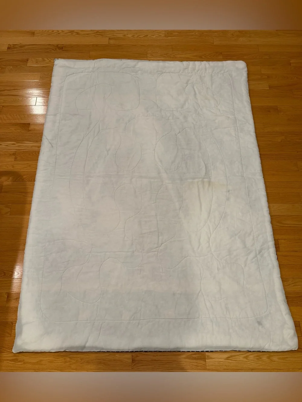 vintage 1990s Anaheim Mighty Ducks NHL Twin comforter